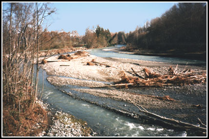 �Wake of the Flood�