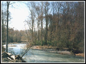 Looking upstream